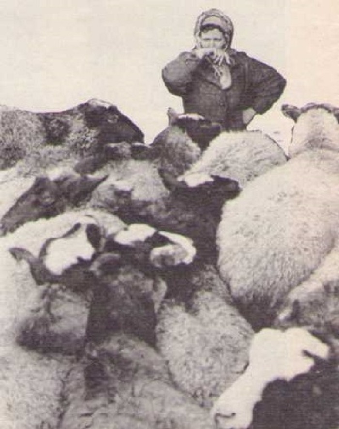 Соседи-04 Соседи-04