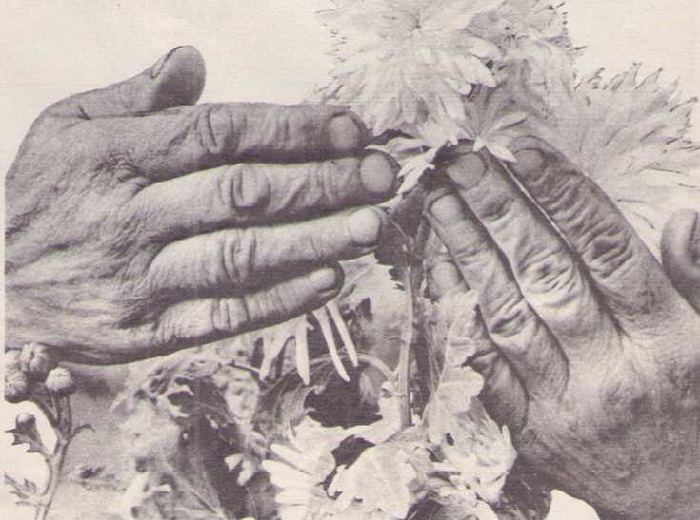 Народ-и-народное-творчество-01 Народ-и-народное-творчество-01