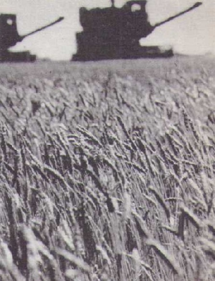 Пора-сухороса-04 Пора-сухороса-04