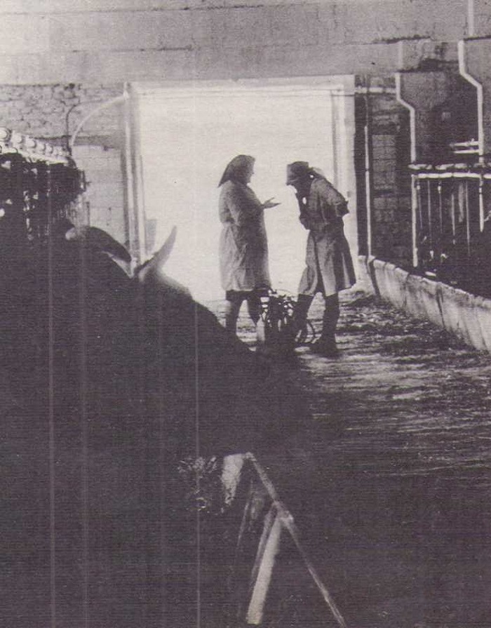 Маленькие-фермы-04