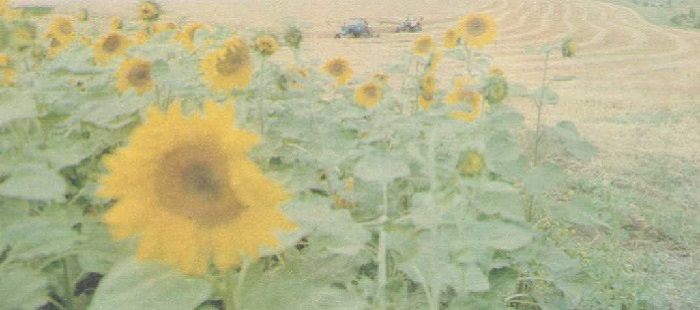 Рабочие-моменты-01