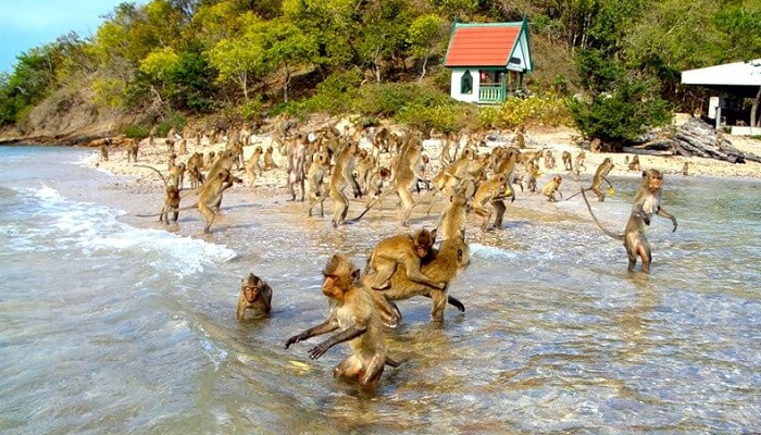 Достопримечательности-Паттайи-01 Достопримечательности-Паттайи-01