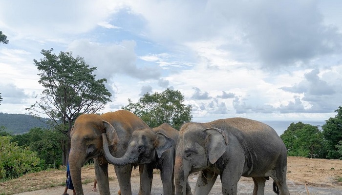 Достопримечательности-Паттайи-02 Достопримечательности-Паттайи-02