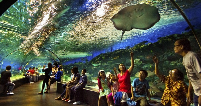 Океанариум-Underwater-World-02