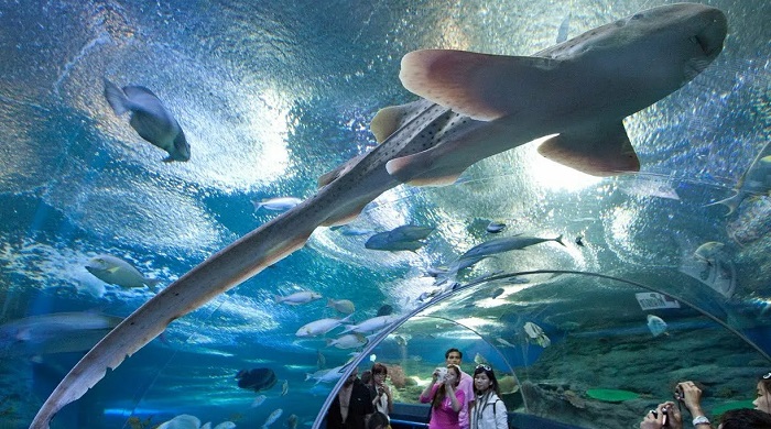 Океанариум-Underwater-World-03